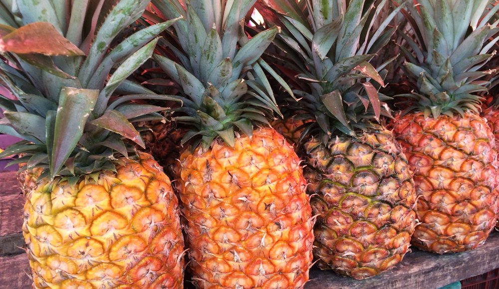 Ananás, sabor tropical irresistível – Jornal de Cá